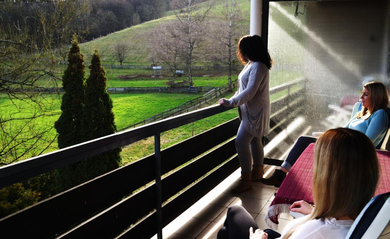 Hotel Wiesengrund Lindenfels Dış mekan fotoğraf